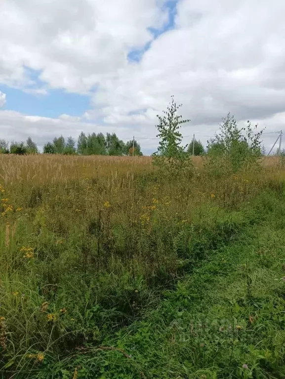 Участок в Московская область, Серебряные Пруды муниципальный округ, д. ... - Фото 1