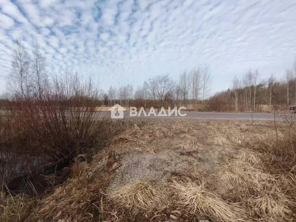 Участок в Ленинградская область, Всеволожский район, Романовское ... - Фото 1