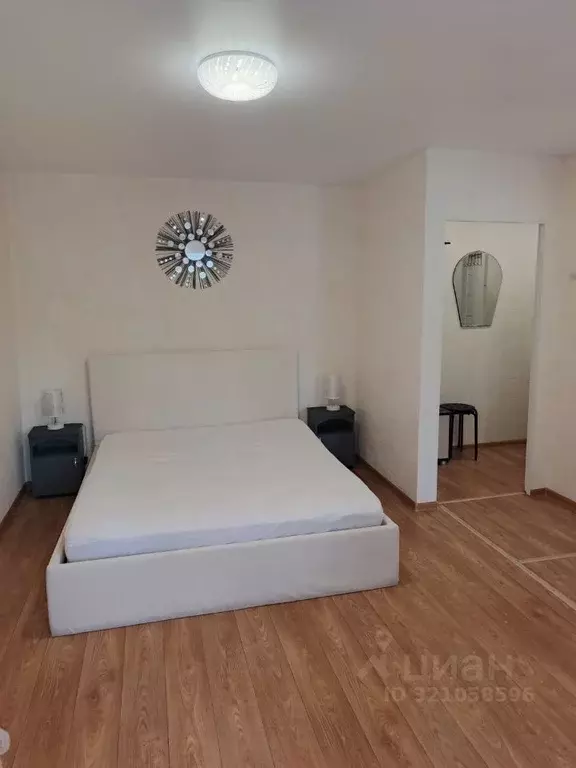 1-к кв. Псковская область, Псков Рижский просп., 60 (29.5 м) - Фото 1