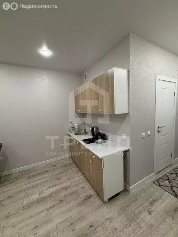 Квартира-студия: посёлок Шушары, Старорусский проспект, 8к2 (22.4 м) - Фото 1