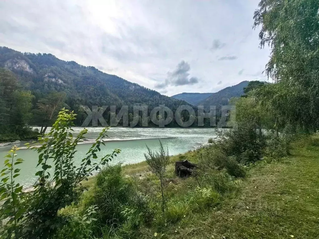 Участок в Алтай, Майминский район, с. Усть-Муны  (11.82 сот.) - Фото 1