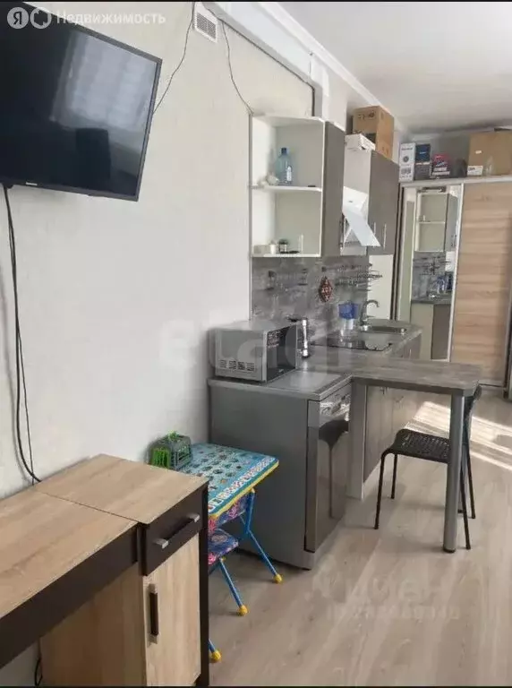 Квартира-студия: Санкт-Петербург, Кушелевская дорога, 1к2 (28.9 м) - Фото 2