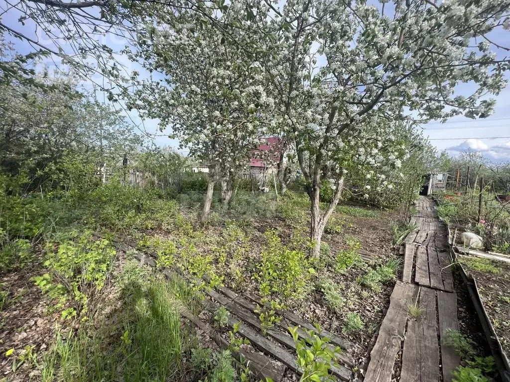 Дом в Оренбургская область, Оренбургский район, Ленинский сельсовет, ... - Фото 1