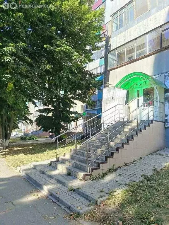 Помещение свободного назначения (50.8 м) - Фото 2