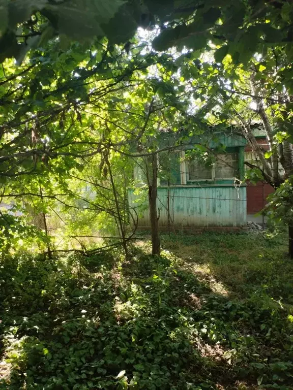 Участок в Краснодарский край, Краснодар Берег Кубани ВНИИ риса садовое ... - Фото 2