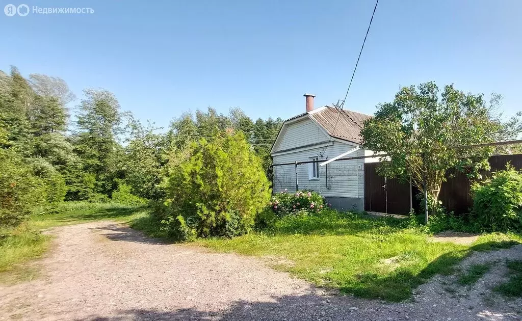Дом в Усмань, улица Тимирязева, 20 (53.3 м) - Фото 1