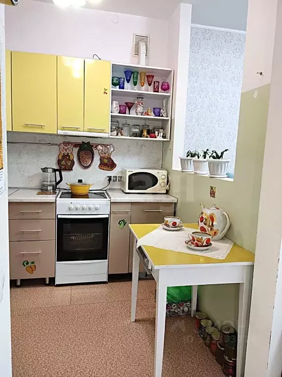 Студия Амурская область, Благовещенск ул. Пушкина, 100 (26.3 м) - Фото 1