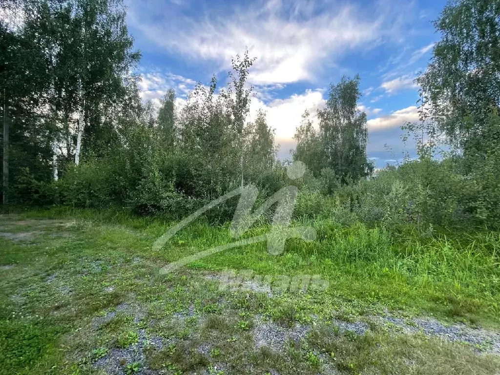 Продается участок в СНТ Газовик - Фото 0