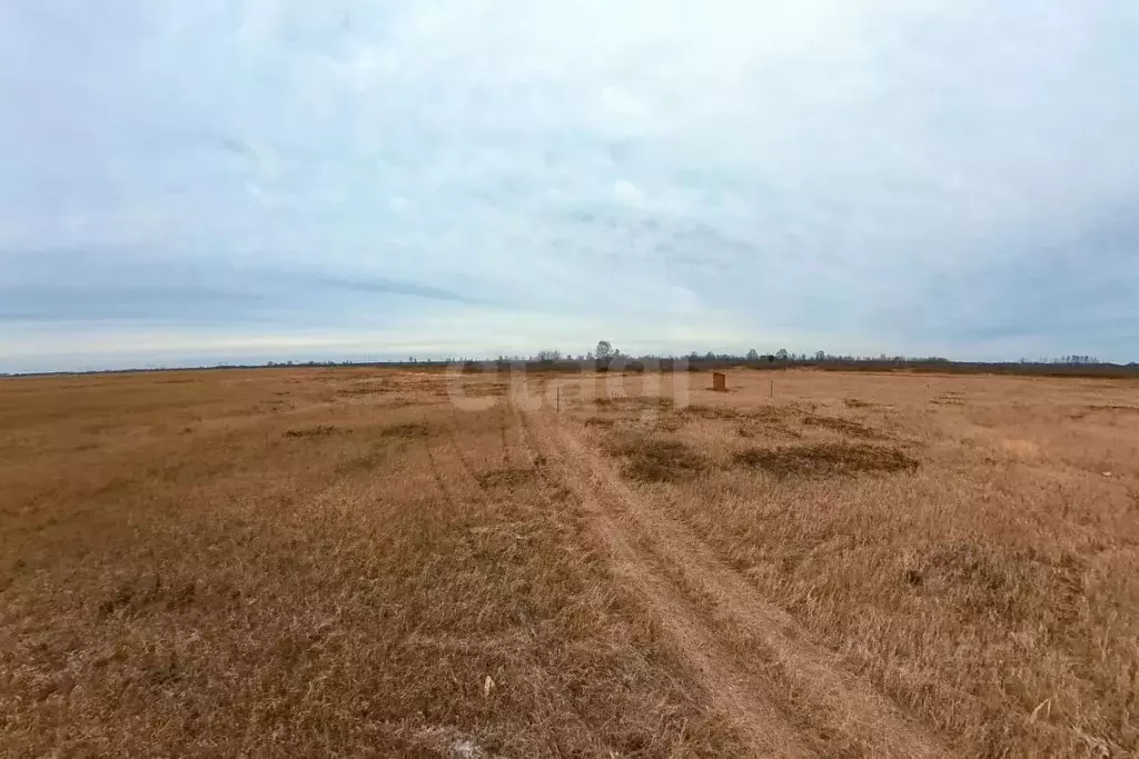 Участок в Тюменская область, Тюмень  (6.91 сот.) - Фото 0