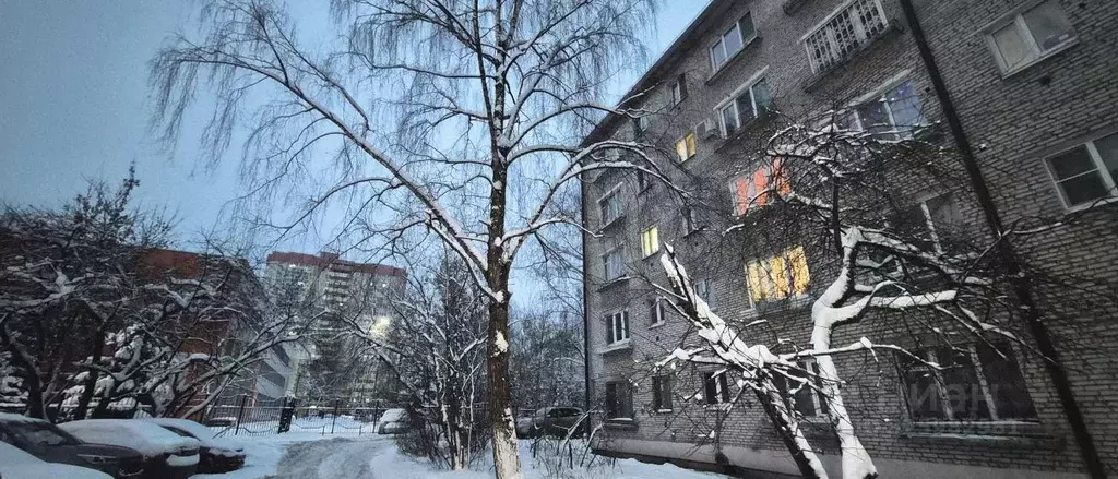 1-к кв. Московская область, Лосино-Петровский ул. Чехова, 4 (29.0 м) - Фото 1