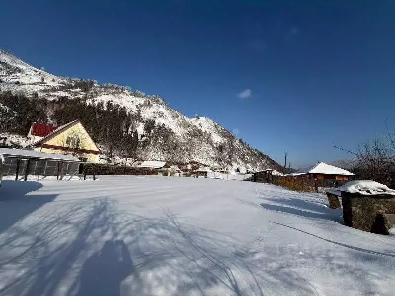 Участок в Алтай, Майминский район, с. Манжерок пер. Дружбы (21.0 сот.) - Фото 1
