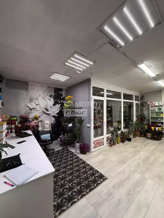 Торговая площадь в Дагестан, Дербент ул. 345-й Дагестанской Стрелковой ... - Фото 2