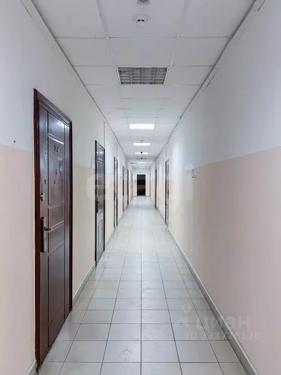Офис в Мордовия, Саранск Строительная ул., 11Б (30 м) - Фото 1