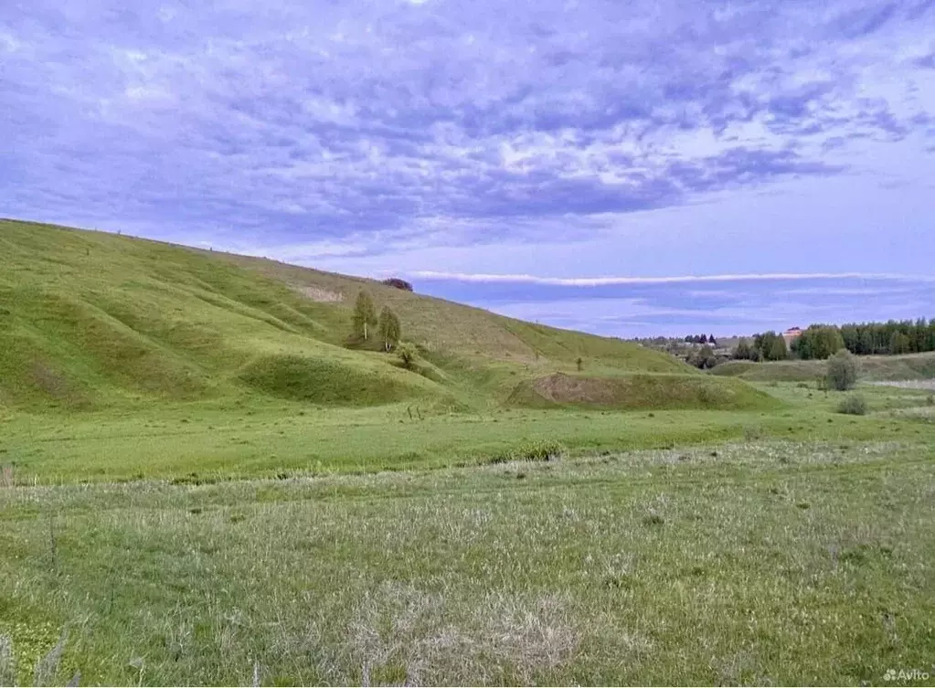 Участок в Нижегородская область, Кстово ул. Лучистая, 22 (20.8 сот.) - Фото 1