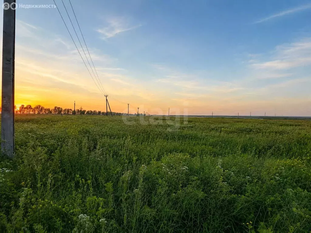 Участок в село Дрокино, Туманная улица (10.02 м) - Фото 1