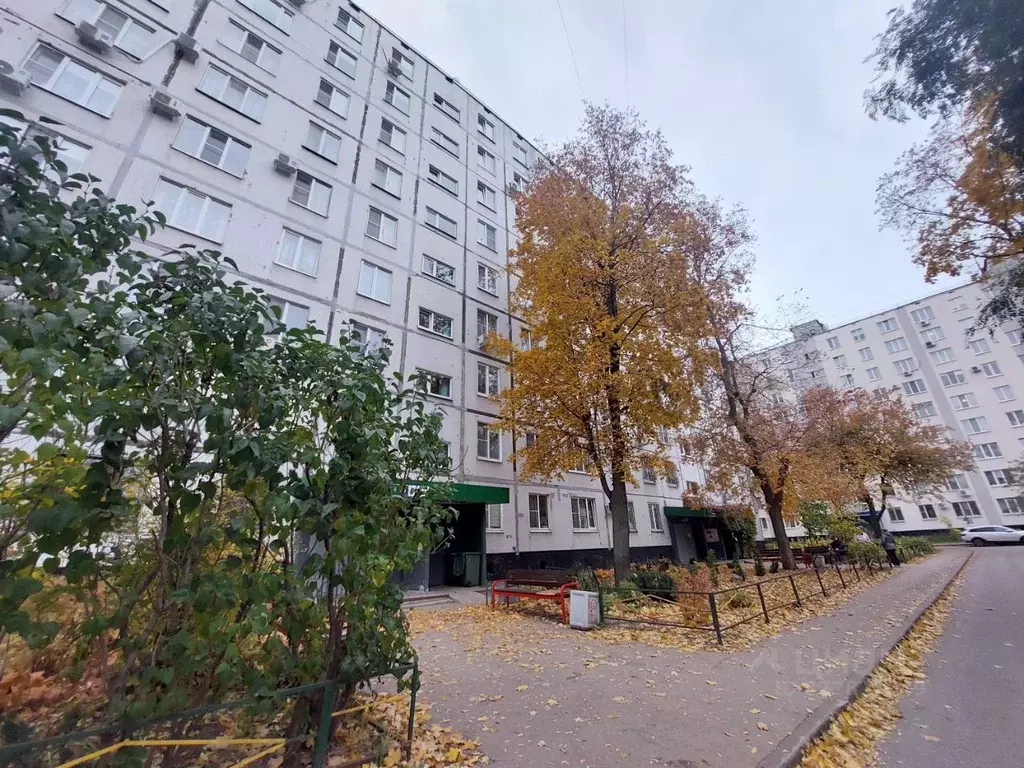 1-к кв. Самарская область, Тольятти ул. Фрунзе, 43 (33.0 м) - Фото 0