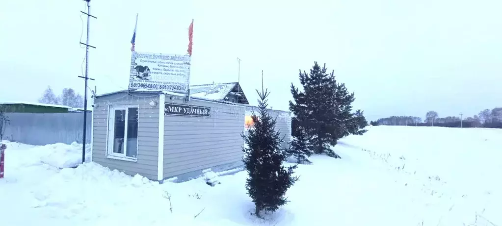 Участок в Новосибирская область, Новосибирский район, Ярковский ... - Фото 2