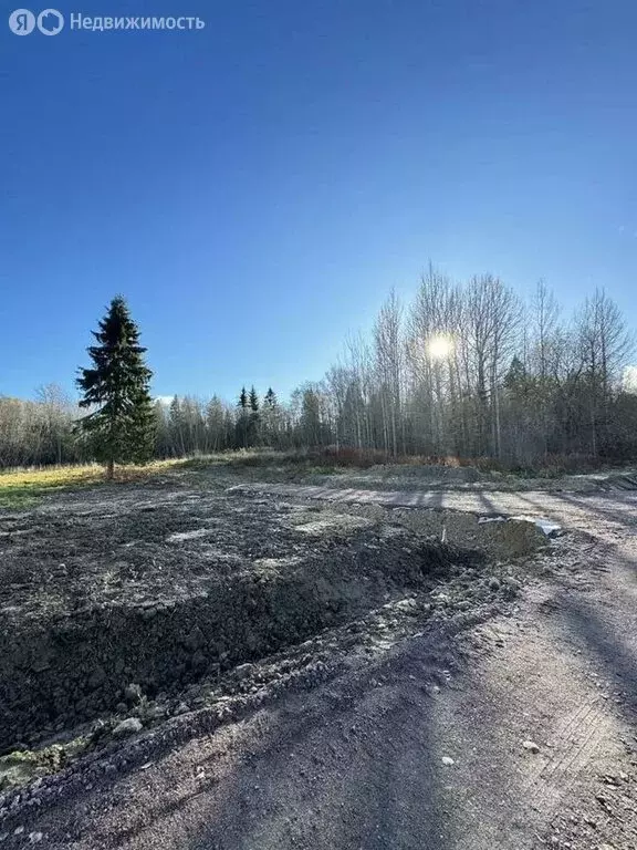 Участок в Гостилицкое сельское поселение, садоводческое некоммерческое ... - Фото 1