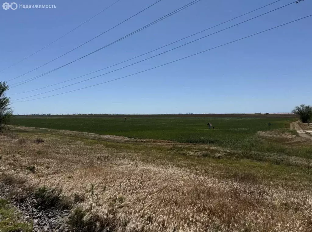 Участок в Сакский район, село Лесновка (70 м) - Фото 1