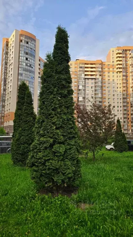 2-к кв. Санкт-Петербург просп. Королева, 63к1 (72.0 м) - Фото 2