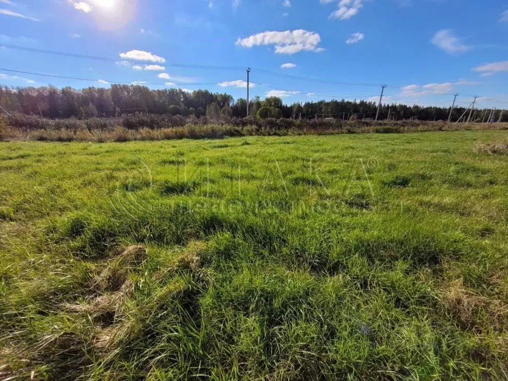 Участок в Ленинградская область, Тосненский район, Федоровское ... - Фото 1