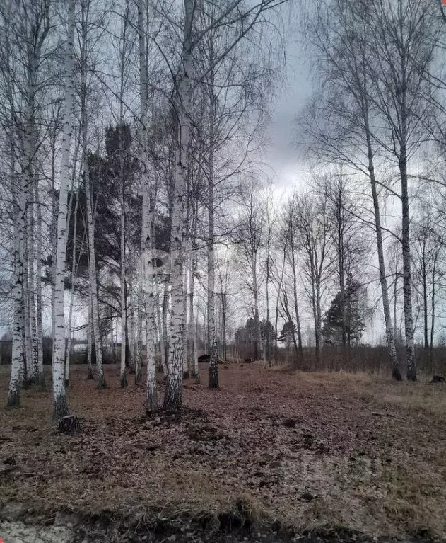 Участок в Тюменская область, Тюмень Ясень садовое товарищество, ул. ... - Фото 1