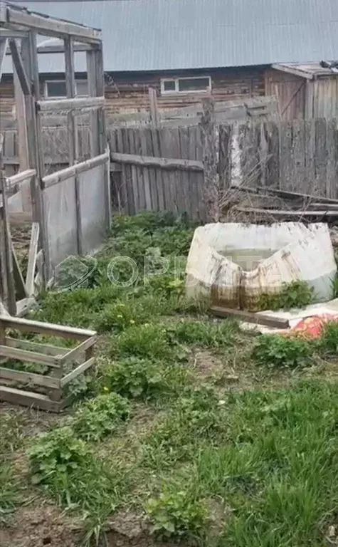 Участок в Тюменская область, Голышмановский муниципальный округ, с. ... - Фото 1