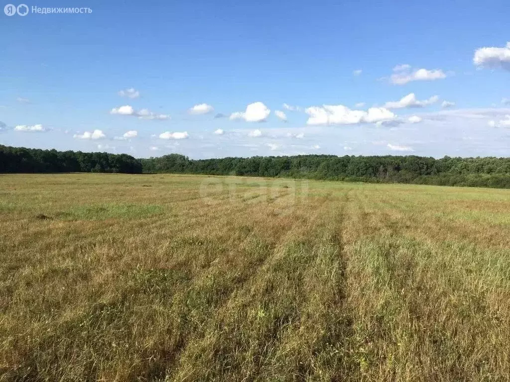 Участок в Северский район, Новодмитриевское сельское поселение, ... - Фото 1