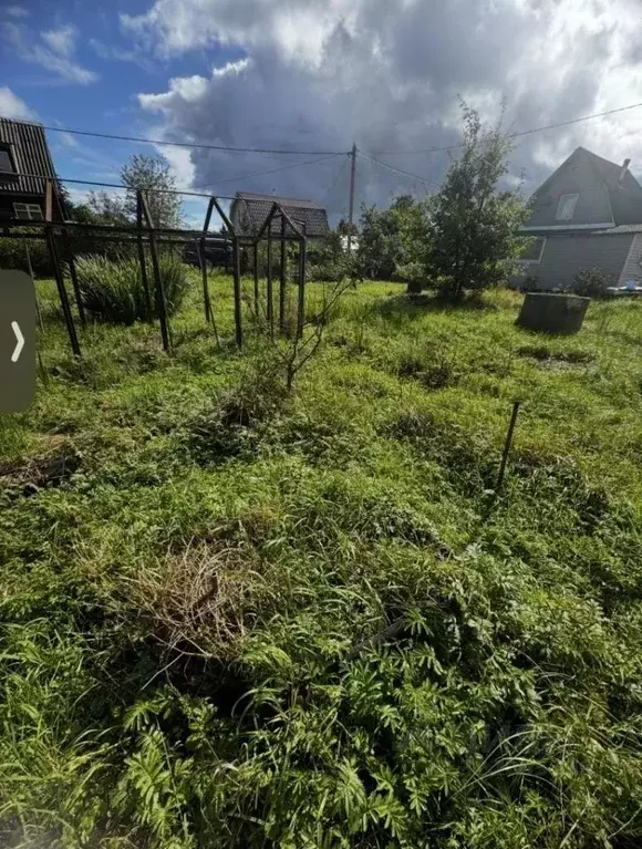 Участок в Ленинградская область, Всеволожский район, Рахьинское ... - Фото 0