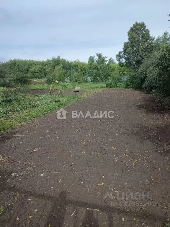 Участок в Нижегородская область, Спасский муниципальный округ, д. ... - Фото 1