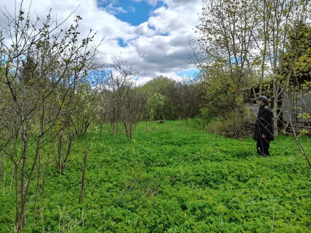 Участок в Ленинградская область, Волхов пос. Симанково,  (15.0 сот.) - Фото 0