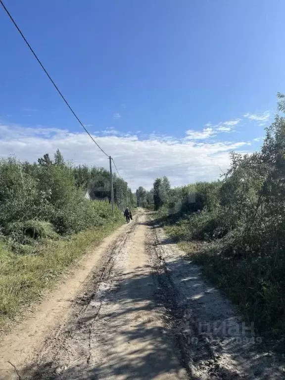 Участок в Тюменская область, Тюмень Ясень садовое товарищество,  (12.4 ... - Фото 1