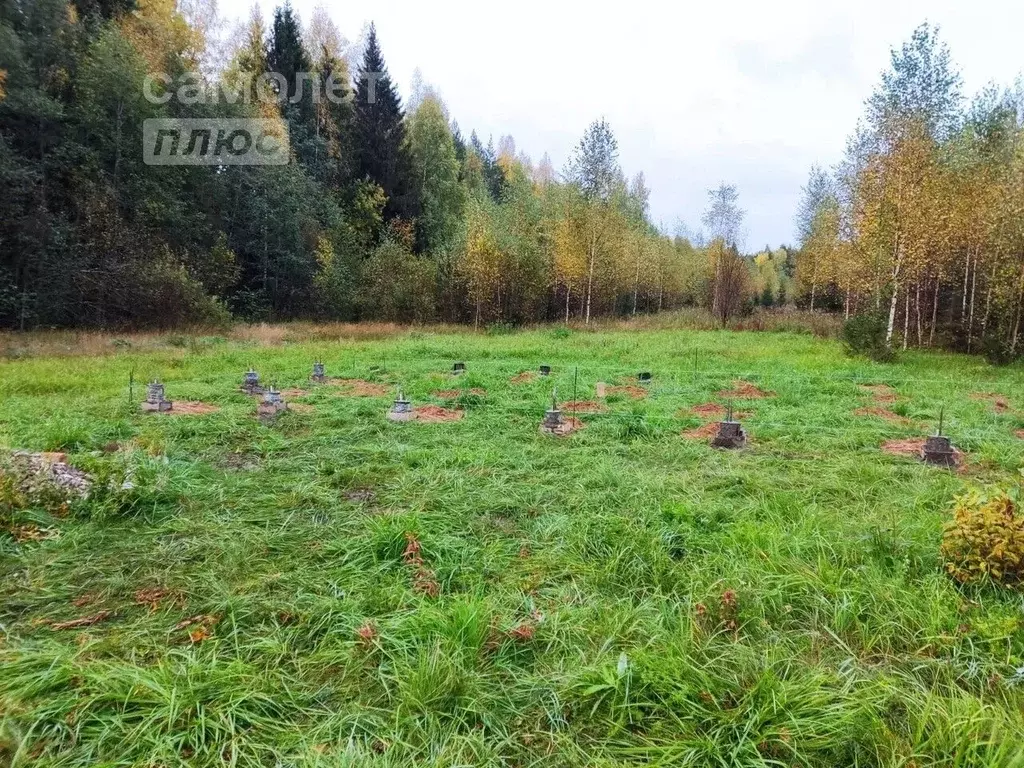 Участок в Вологодская область, Кадуйский муниципальный округ, д. ... - Фото 0