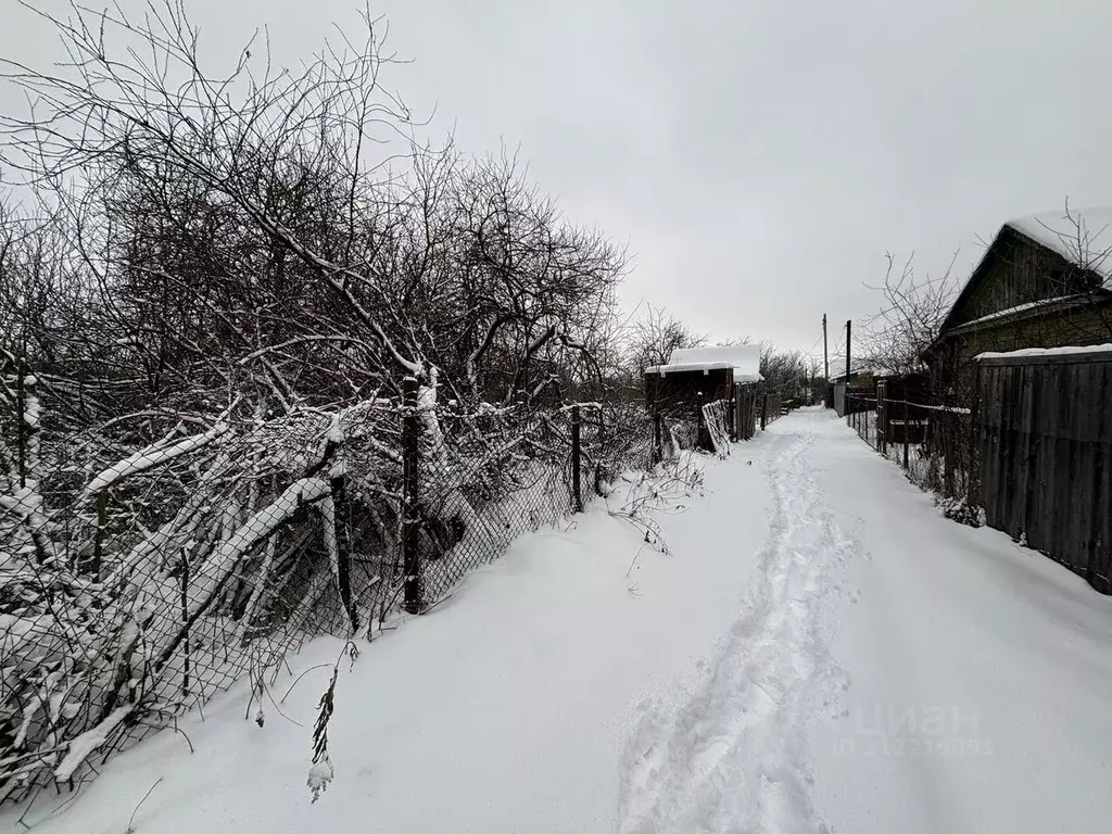 Участок в Нижегородская область, Арзамас № 4 СНТ, 161 (6.0 сот.) - Фото 1