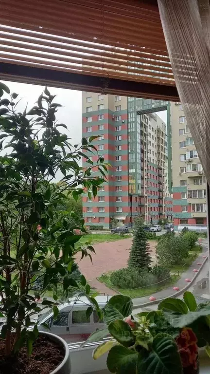 2-к кв. Санкт-Петербург просп. Тореза, 95 (60.5 м) - Фото 1