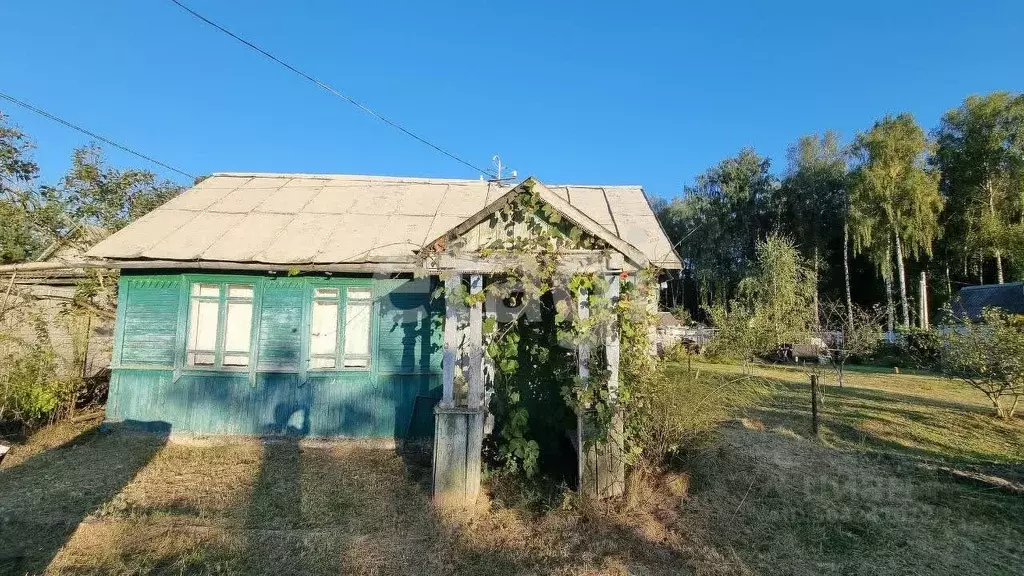 Дом в Брянская область, Брянский район, Нетьинское с/пос, Камвольщик ... - Фото 0