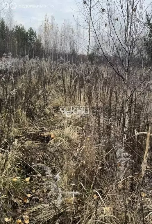 Участок в городской округ Нижний Новгород, село Безводное (10 м) - Фото 1
