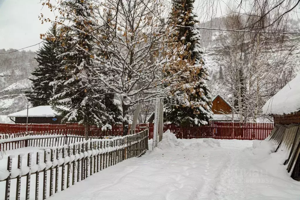 Участок в Кемеровская область, Новокузнецкий муниципальный округ, пос. ... - Фото 1