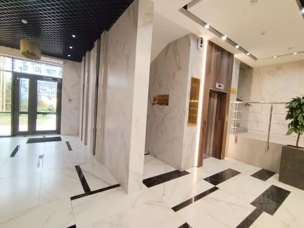 1-к кв. Брянская область, Брянск ул. Имени О.С. Визнюка, 18 (54.0 м) - Фото 2