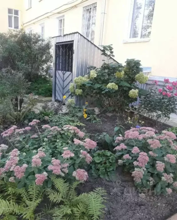 Помещение свободного назначения в Псковская область, Псков ул. Яна ... - Фото 1