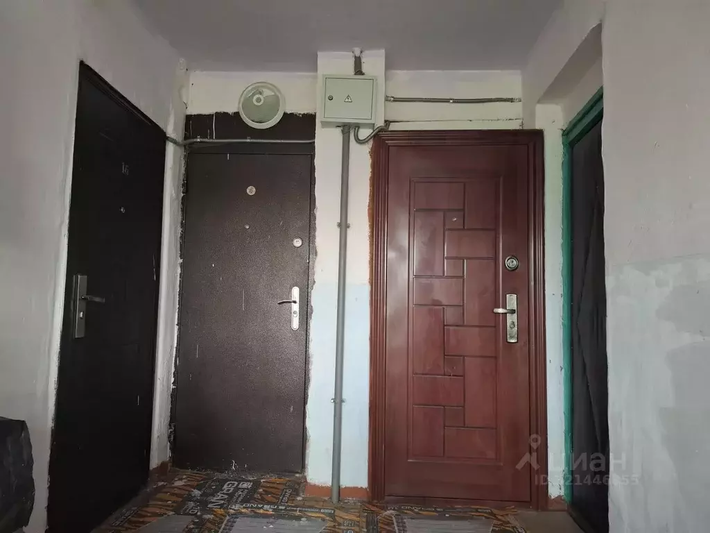 2-к кв. Алтайский край, Калманский район, с. Панфилово Советская ул., ... - Фото 2