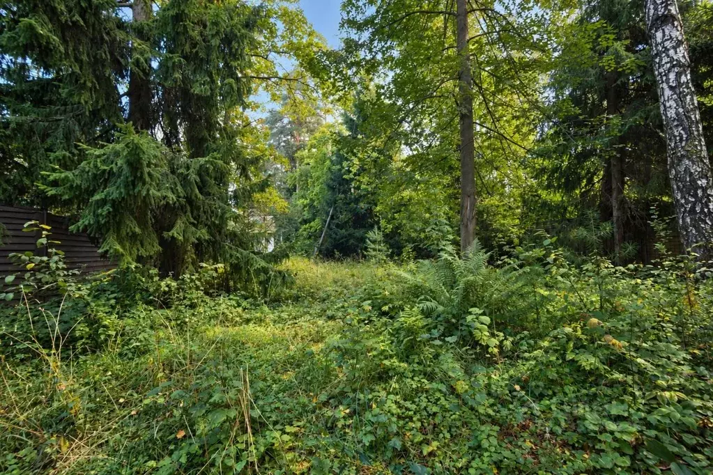 Участок в Московская область, Одинцовский городской округ, с. ... - Фото 2