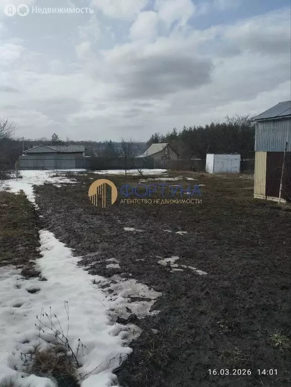 Дом в Белгородская область, Яковлевский муниципальный округ, село ... - Фото 2