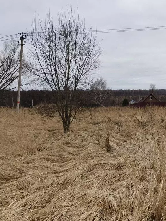 Участок в Московская область, Коломна городской округ, д. Губастово  ... - Фото 1