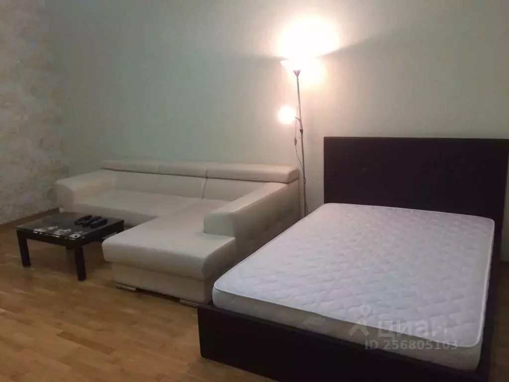 1-к кв. Свердловская область, Екатеринбург ул. Шейнкмана, 75 (57.0 м) - Фото 1