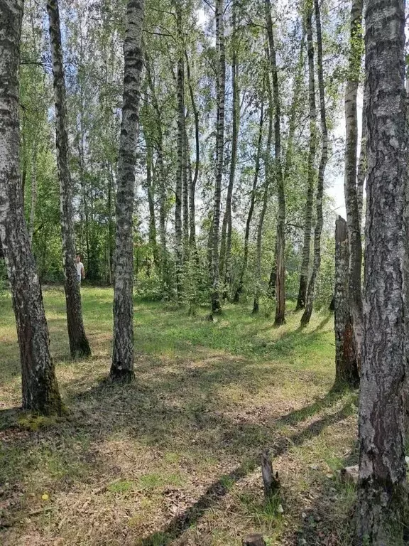 Участок в Калужская область, Боровский муниципальный округ, Ворсино ... - Фото 0