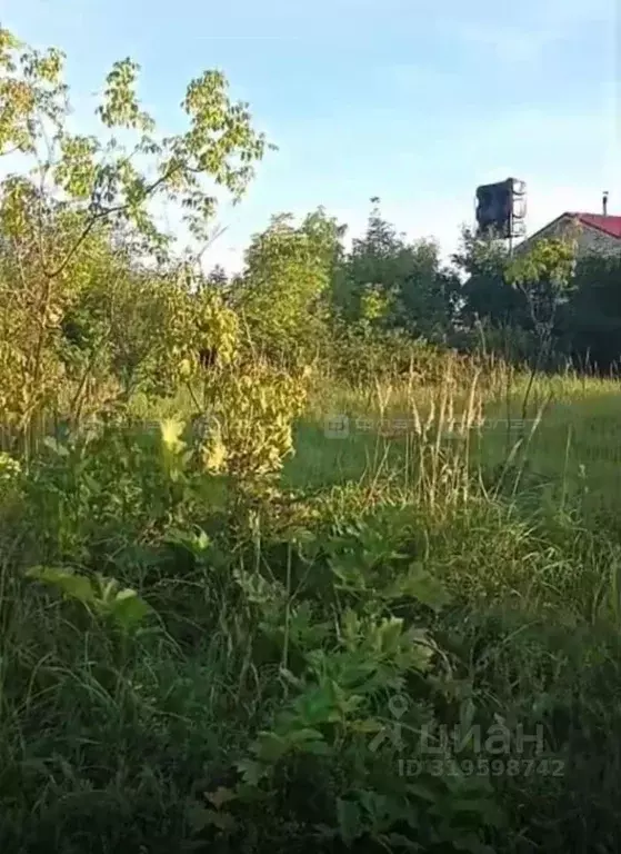 Участок в Татарстан, Казань Чишма садоводческое товарищество,  (6.3 ... - Фото 2