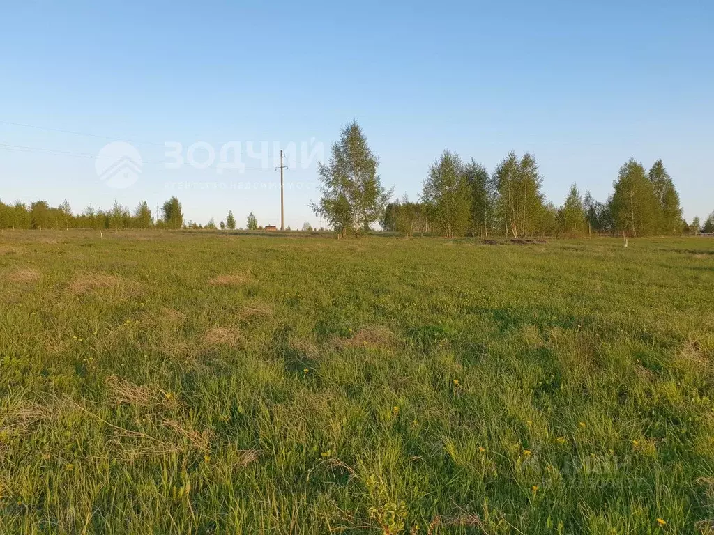 Участок в Чувашия, Чебоксарский муниципальный округ, д. Микши-Энзей ... - Фото 1