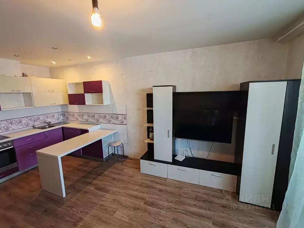 Студия Новосибирская область, Новосибирск ул. Татьяны Снежиной, 25/4 ... - Фото 2