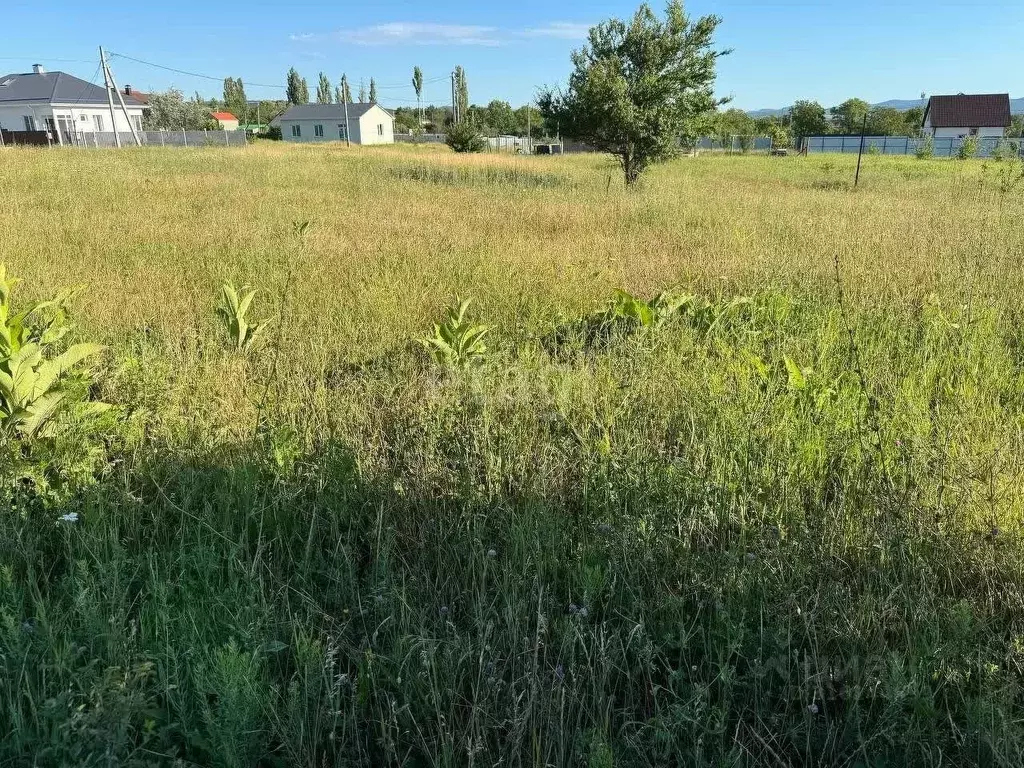 Участок в Краснодарский край, Новороссийск городской округ, Раевская ... - Фото 0